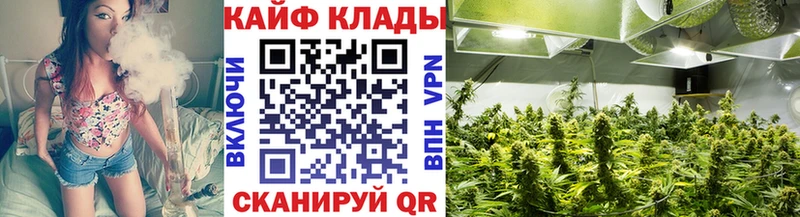 Где купить Фрязино ГАШ  мега онион  СОЛЬ  Меф  Кокаин 