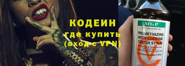молекула духа Переславль-Залесский