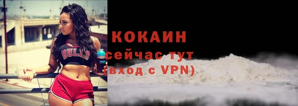 молекула духа Переславль-Залесский