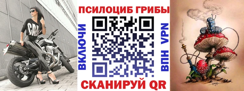 цены наркотик  MEGA маркетплейс  Галлюциногенные грибы Cubensis  Фрязино 