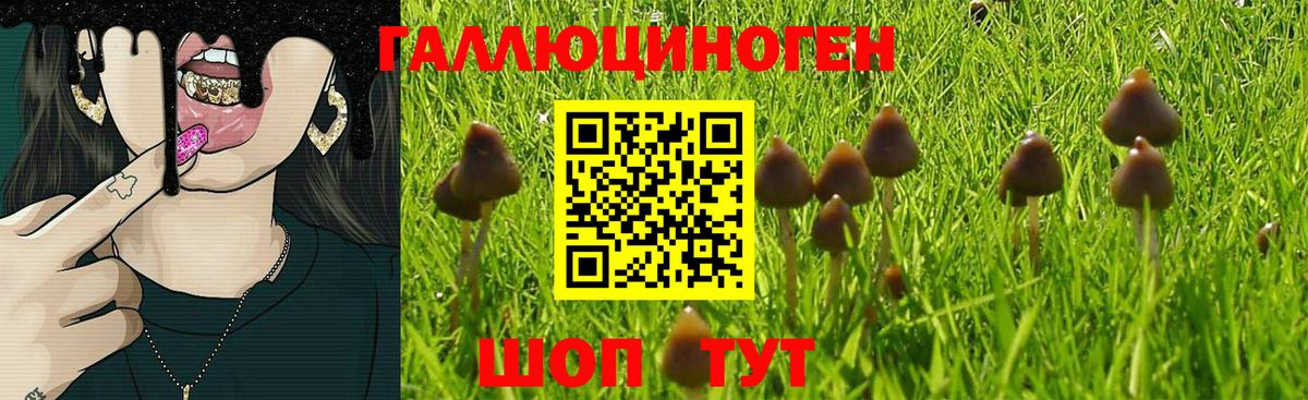 Псилоцибиновые грибы прущие грибы Фрязино